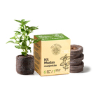 Kit Mudas | Manjericão